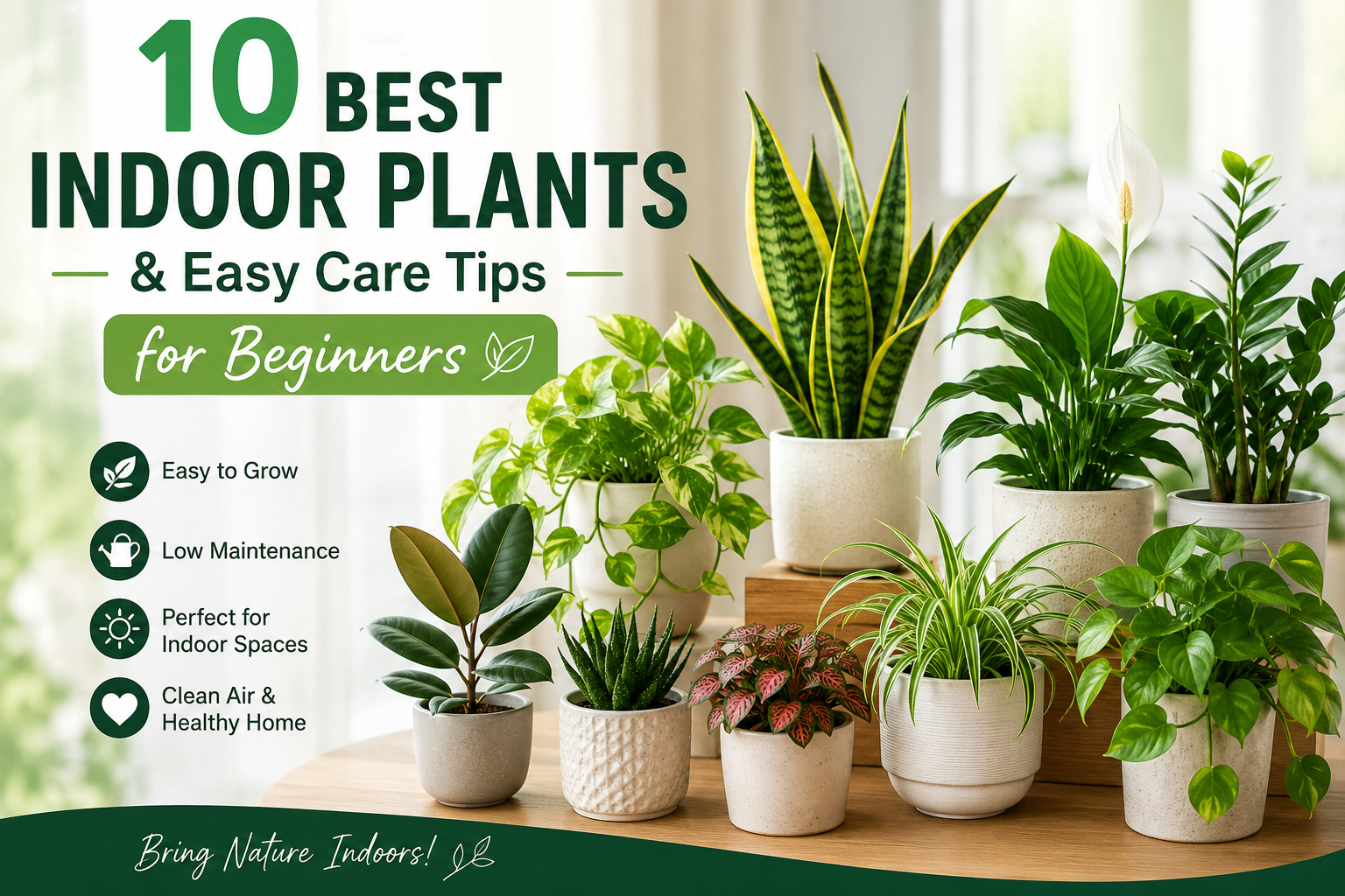 A bright indoor gardening setup featuring popular houseplants like Snake Plant, Peace Lily, Spider Plant, Rubber Plant, ZZ Plant, and Pothos in decorative pots with text “10 Best Indoor Plants & Easy Care Tips for Beginners”