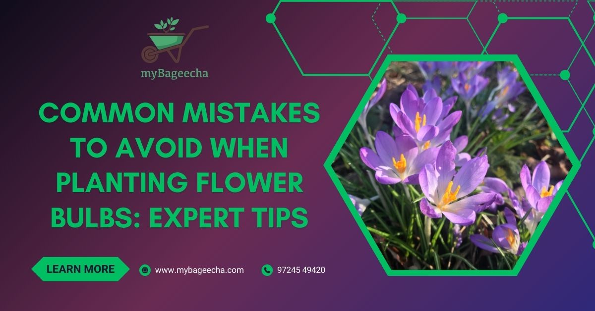 Common Mistakes to Avoid When Planting Flower Bulbs: Expert Tips