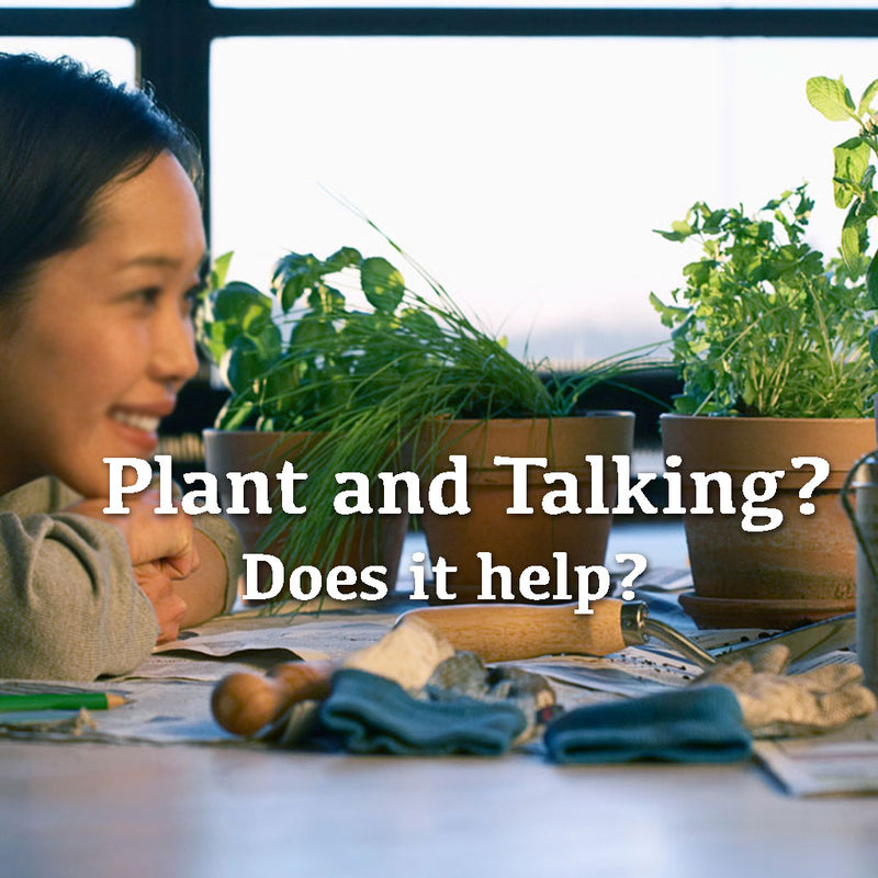 Plant and Talking? Does that really work?