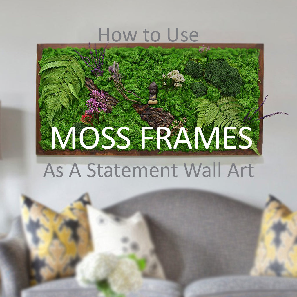Using Moss Frames to Create Moss Wall Art in Offices & Workplaces