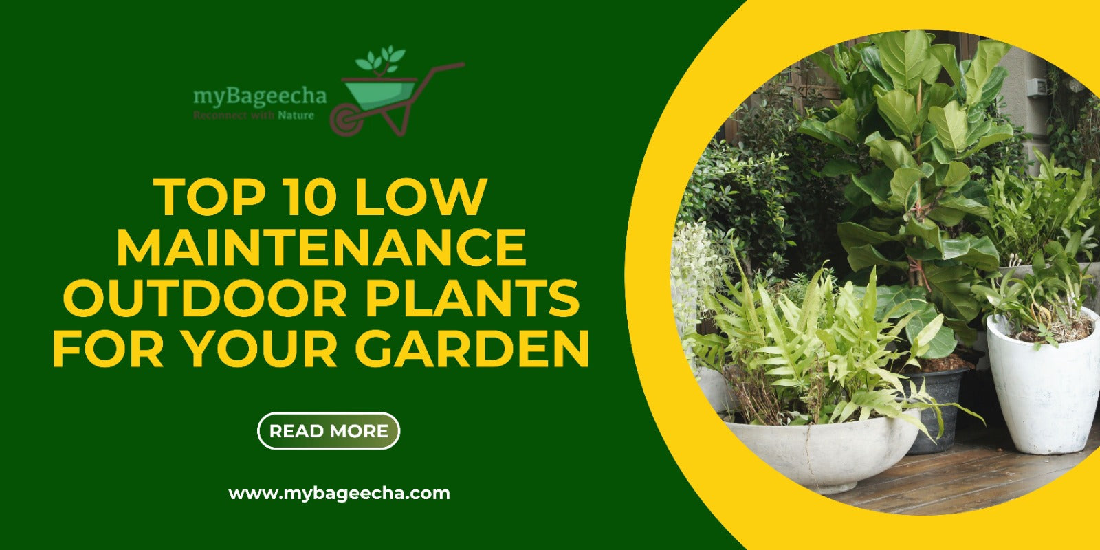 Promotional banner from myBageecha featuring the article "Top 10 Low-Maintenance Outdoor Plants for Your Garden" with vibrant potted plants and a green call-to-action.