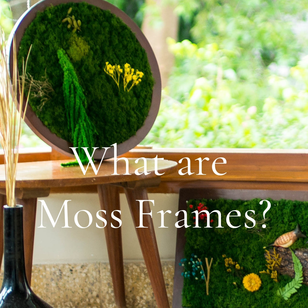 What are Moss Frames/Walls?