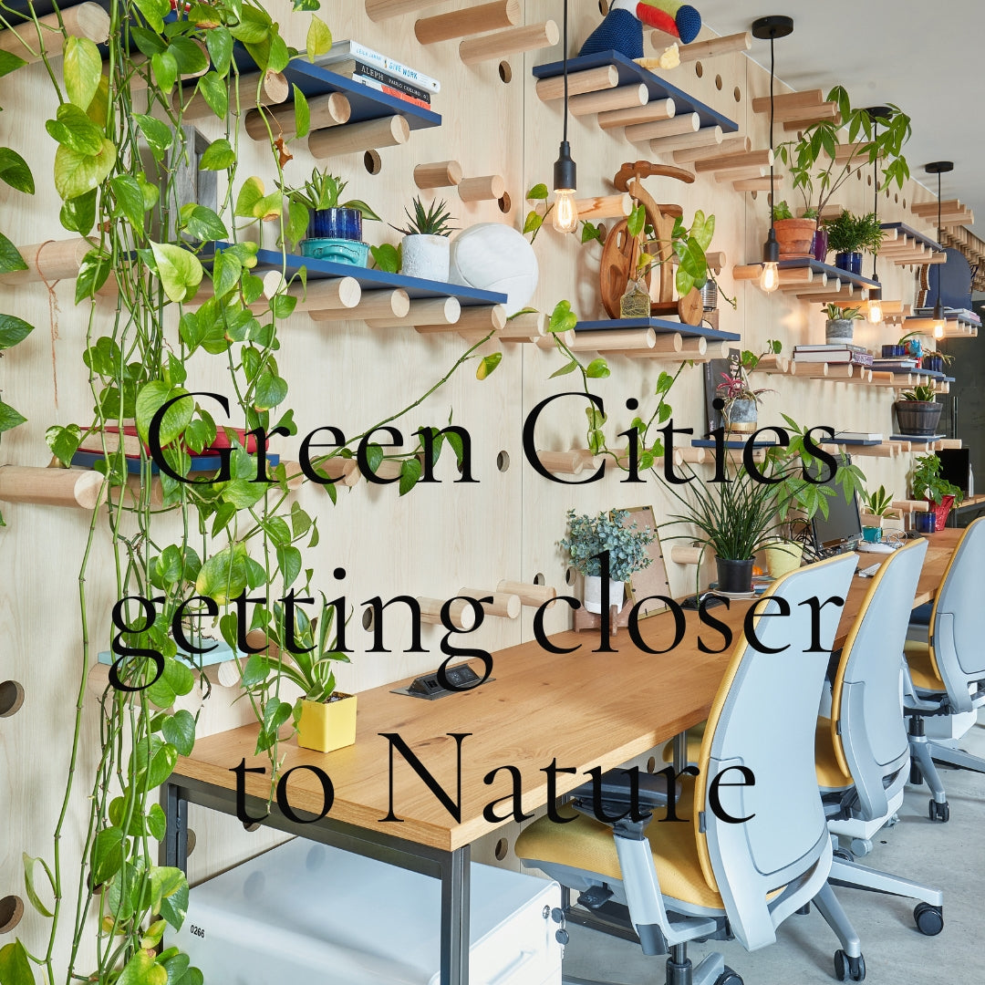 Eco‑friendly office interior with plants, wood elements, and warm hanging lights
