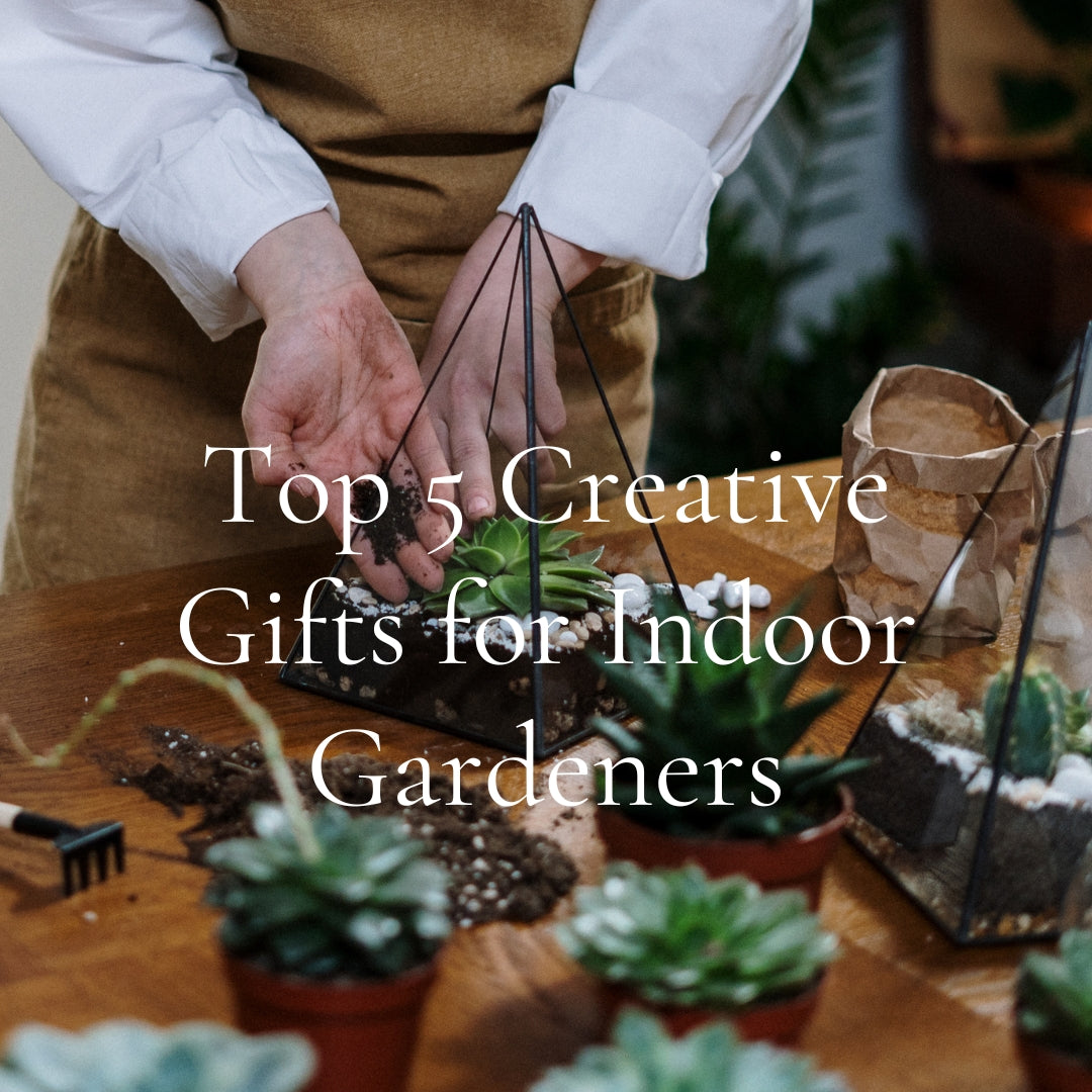 Top 5 Creative Gifts for Indoor Gardeners