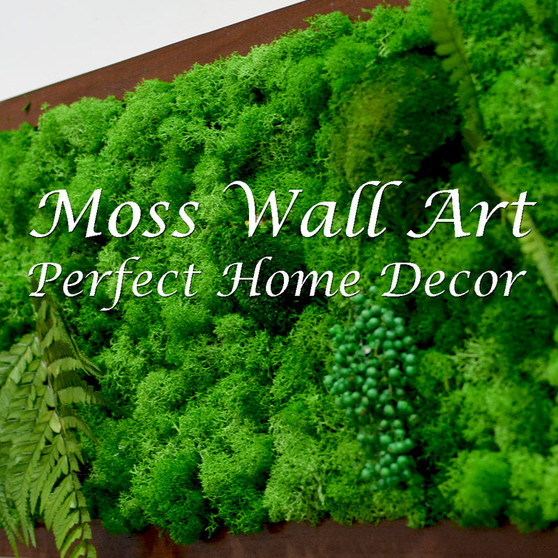 Looking to buy Moss Wall Arts? Know why they are the perfect home deco ...
