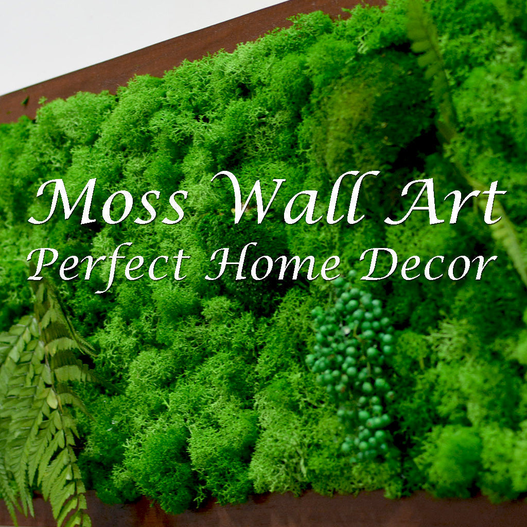 Vibrant moss wall art featuring preserved greenery, ferns, and berries arranged in textured layers for indoor home decor