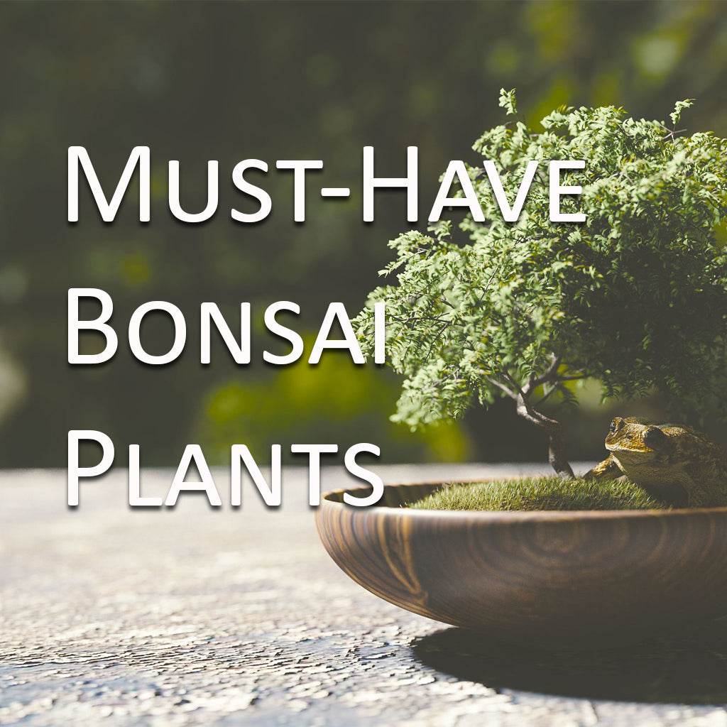 Bonsai plant in wooden pot with frog figurine, text overlay “MUST‑HAVE BONSAI PLANTS.”