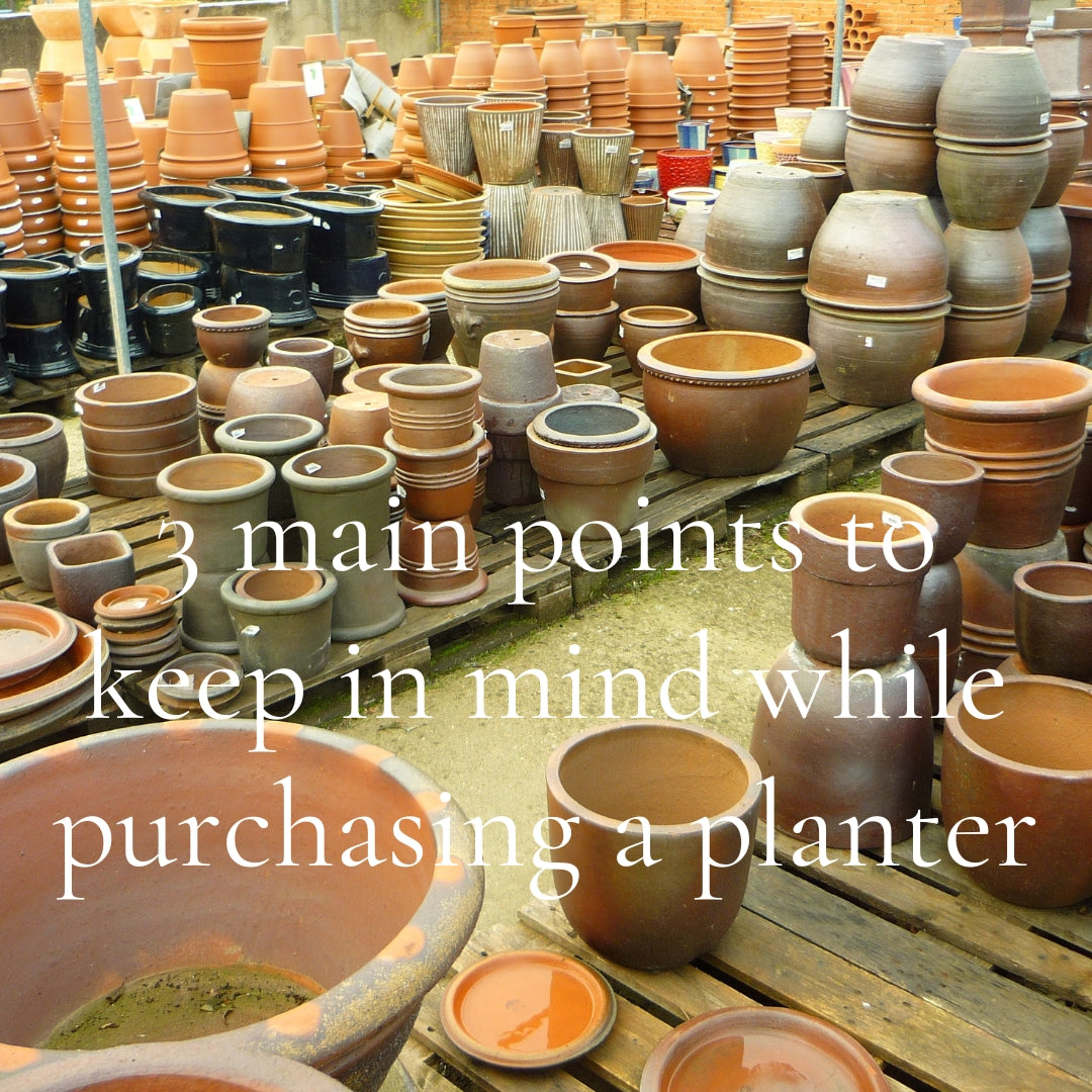 3 main points to keep in mind while purchasing a planter