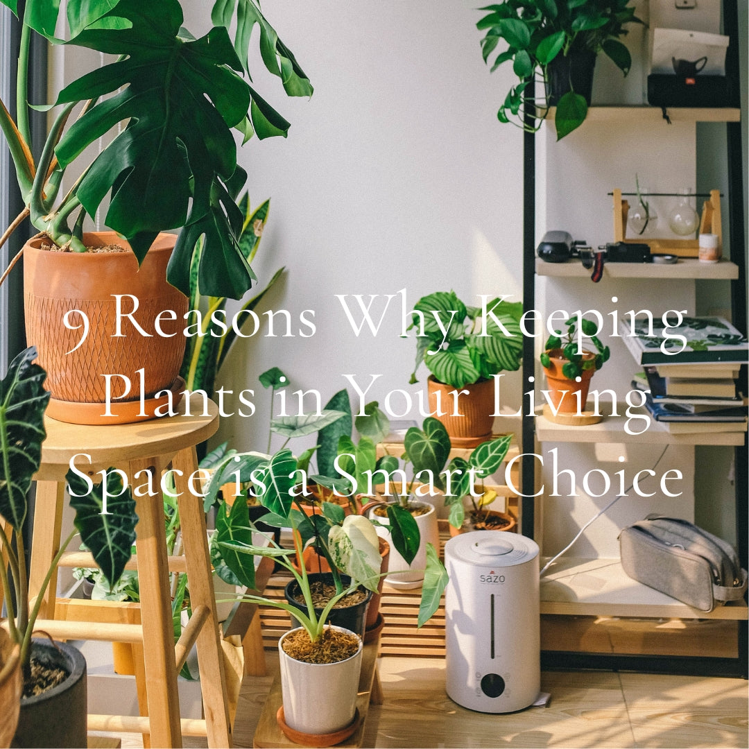 9 Reasons Why Keeping Plants in Your Living Space is a Smart Choice