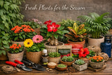 Collection of potted plants and gardening supplies on a wooden table with text 'Fresh Plants for the Season'