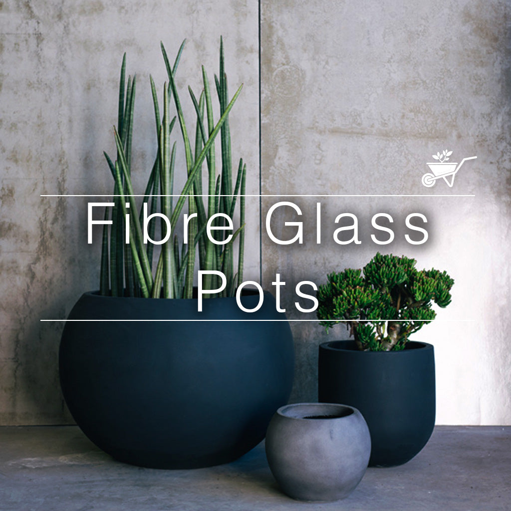 Fiber Glass Pots