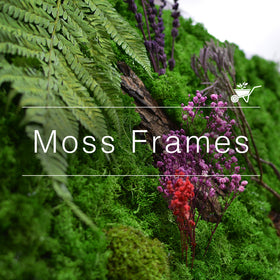 Moss Frame