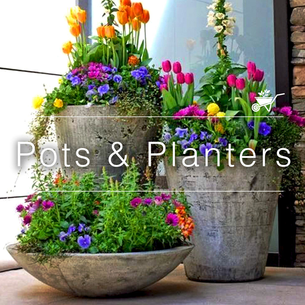 Pots & Planters