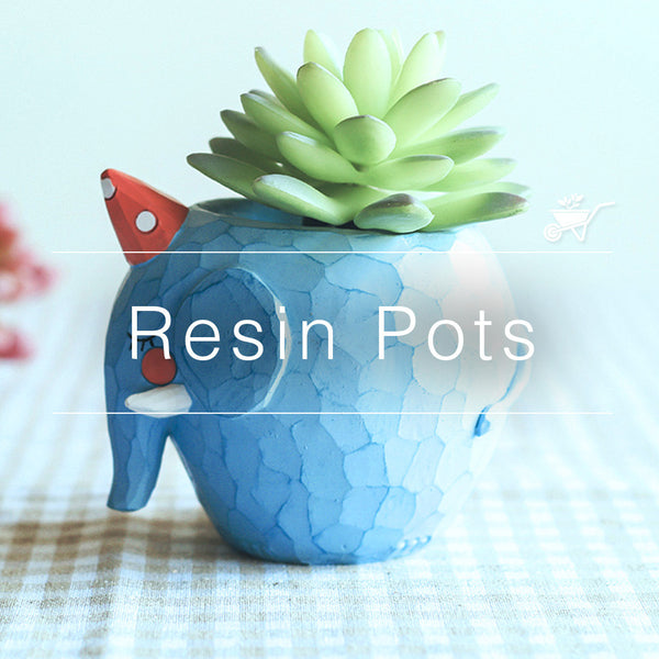 Resin Pots: Buy Stylish & Durable Resin Planters | myBageecha