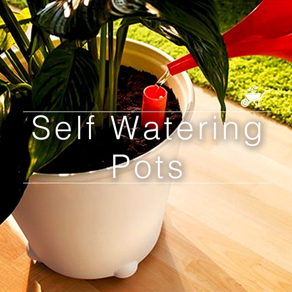Self Watering Pots