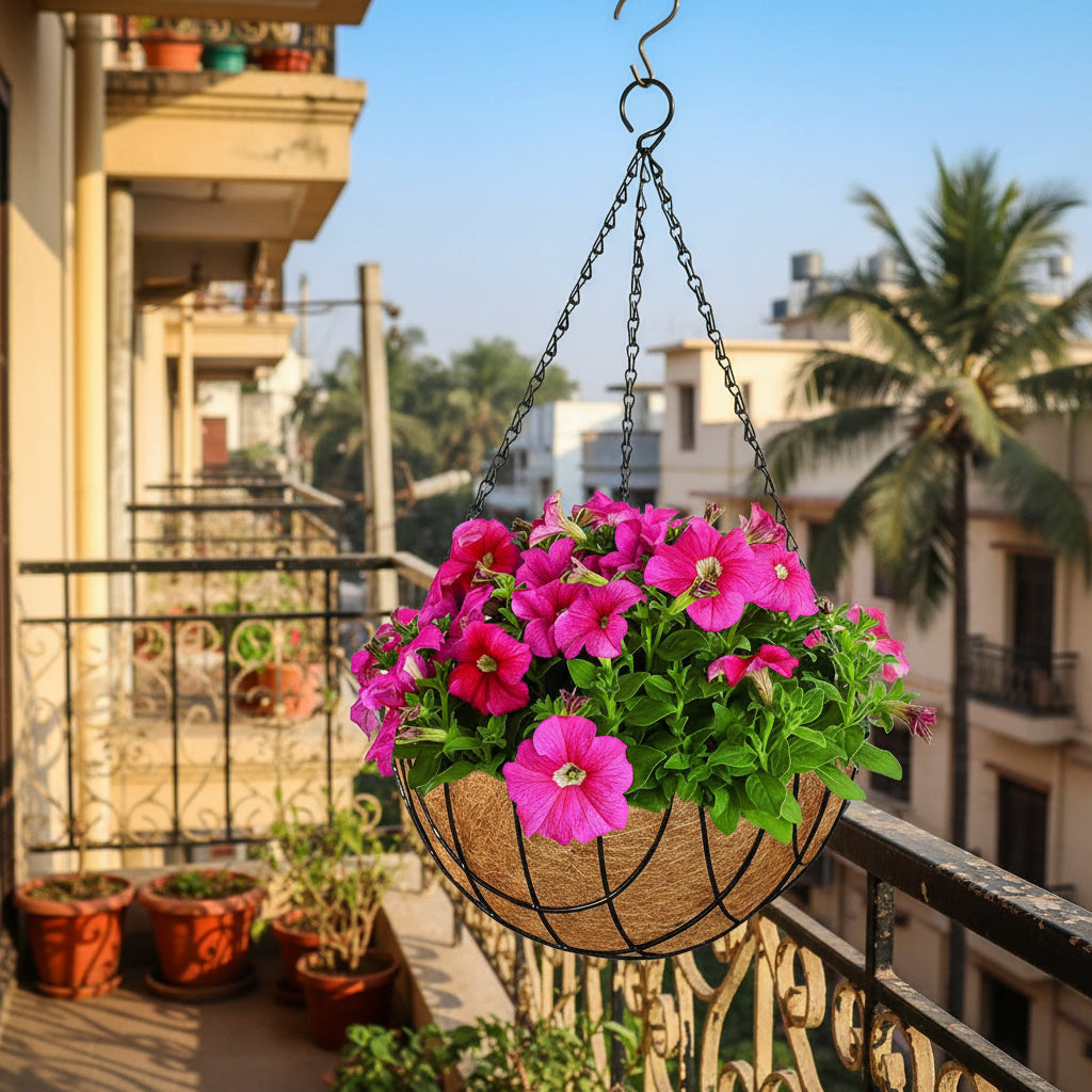 10" Coir Hanging Basket in balcony -myBageecha