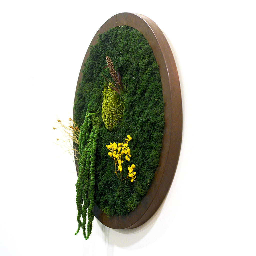 A Meridian Briar Preserved Moss Frame with Dark Wood - myBageecha