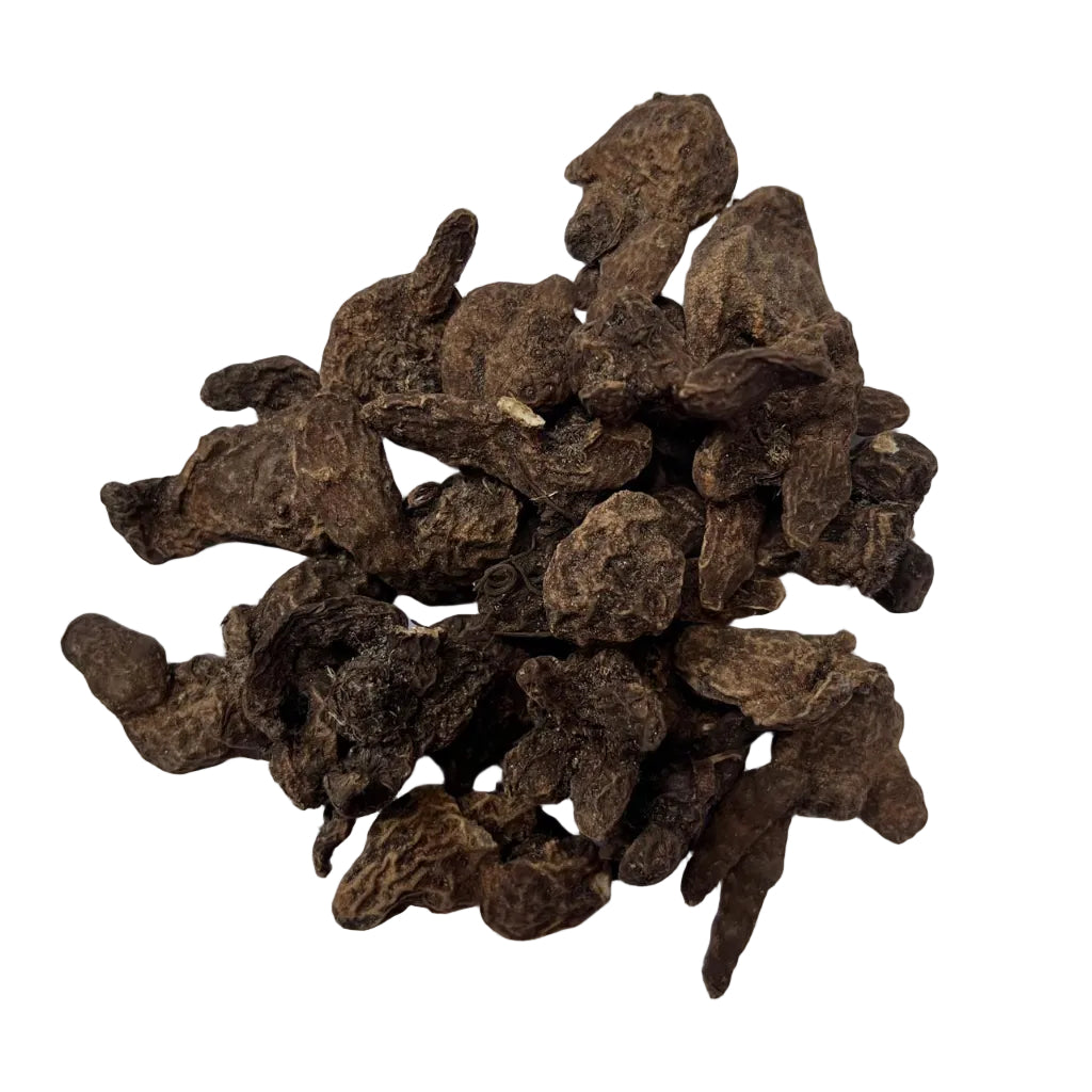 Anemone ‘Lord Lieutenant’  corm image