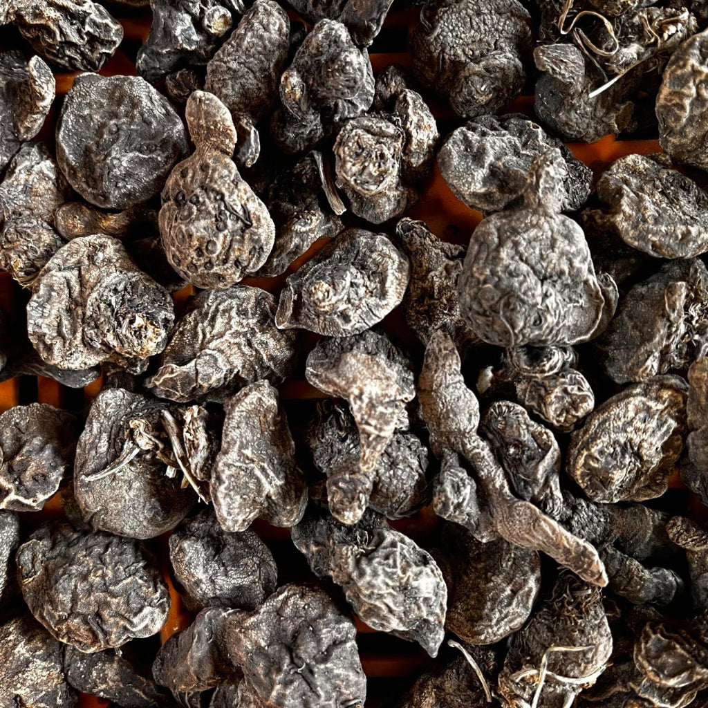 Close up of Anemone Admiral corms