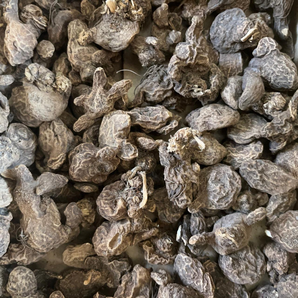 Close of Anemone Coronaria Bicolor corms