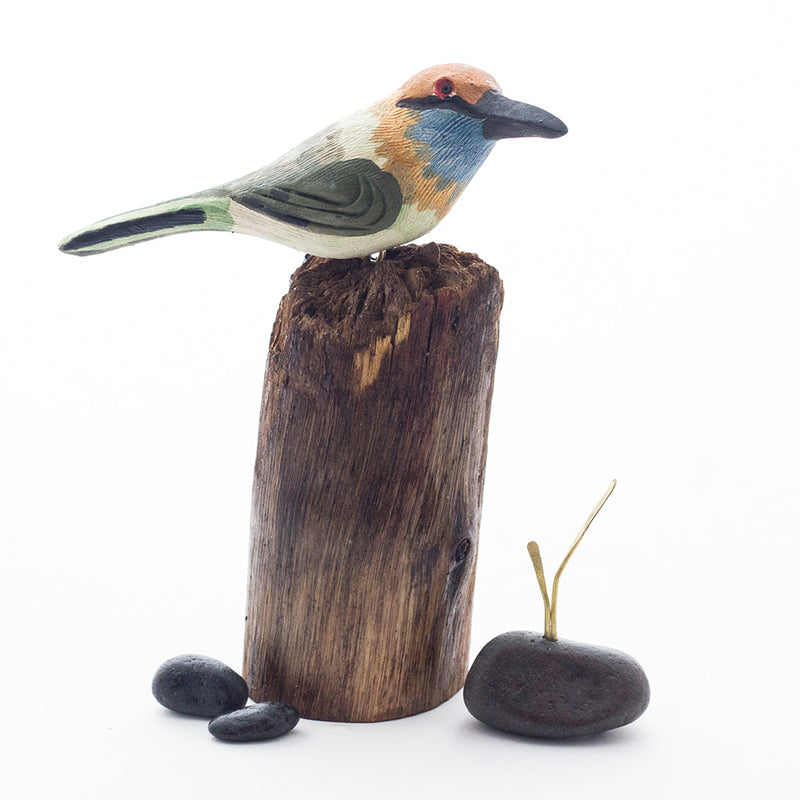 Exotic Bee Eater Wooden Base Table Tops
