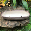 Chiselled Bonsai Ceramic Tray