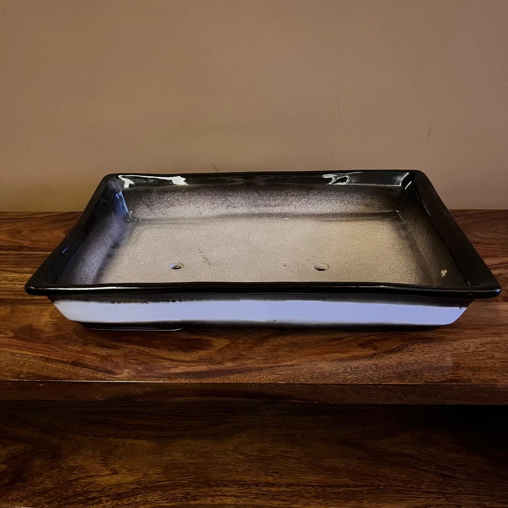 Classic Rectangular Bonsai Ceramic Tray kept on table -mybageecha