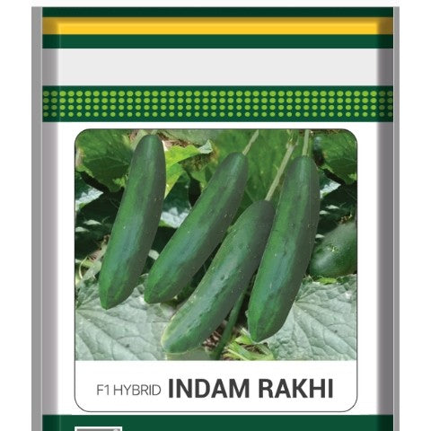Hybrid cucumber for daily use – myBageecha-myBageecha