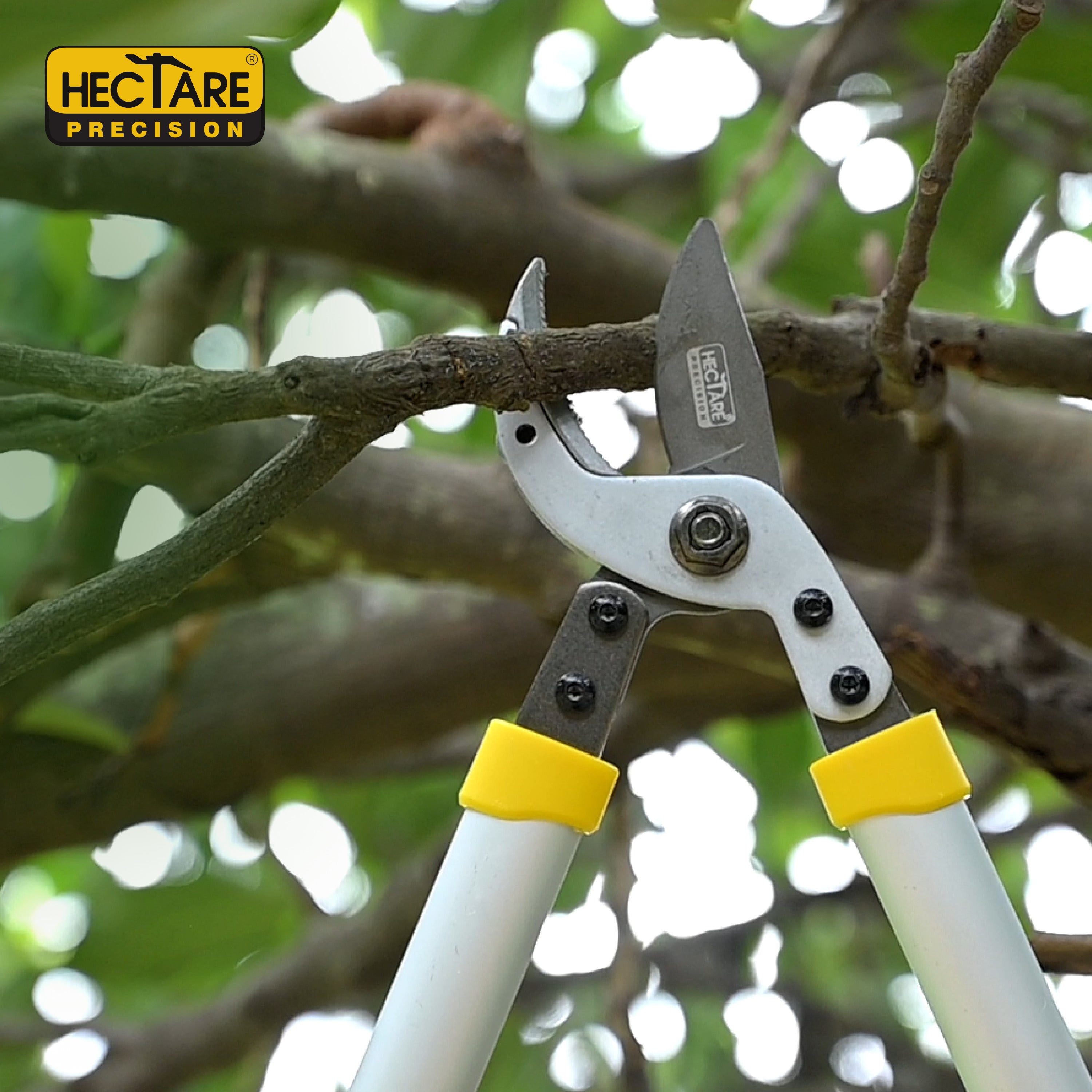 Hectare Precision Anvil Lopper | Heavy Duty Tree Branch Cutter | 35 mm Cutting Capacity Tree Trimmer