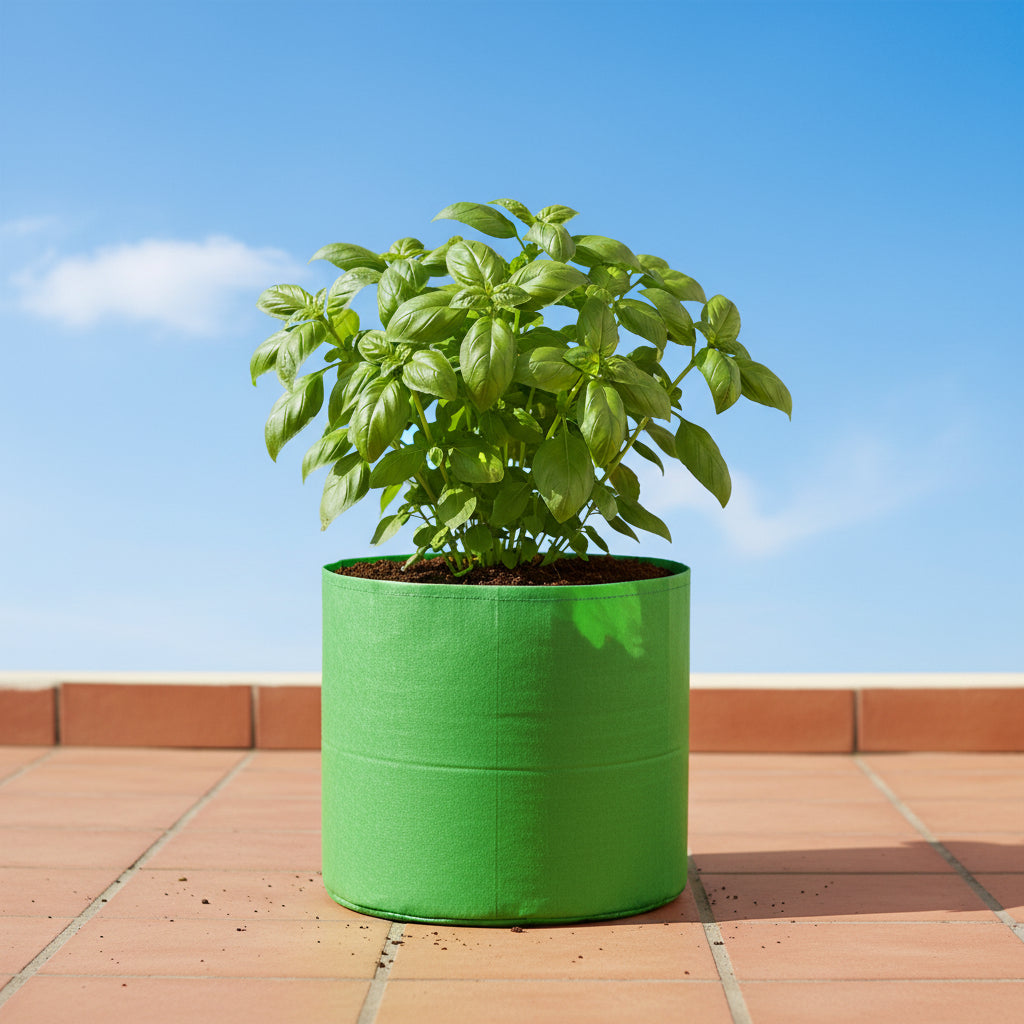 HDPE UV Grow Bag 12 x 12 Inch Circular (Herbs & Compact Flowers)