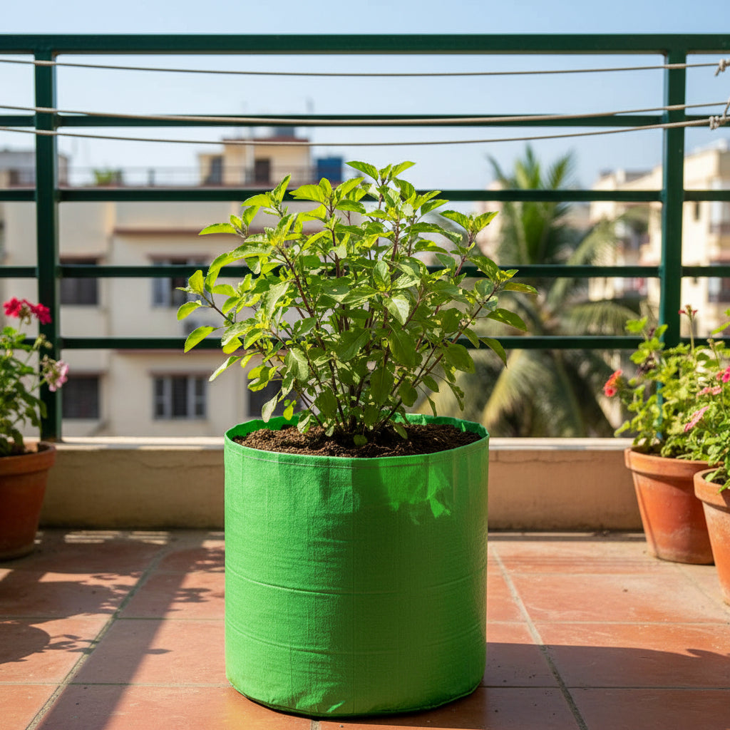HDPE UV Grow Bag 9 x 12 Inch Circular (Tulsi & Small Greens) – myBageecha
