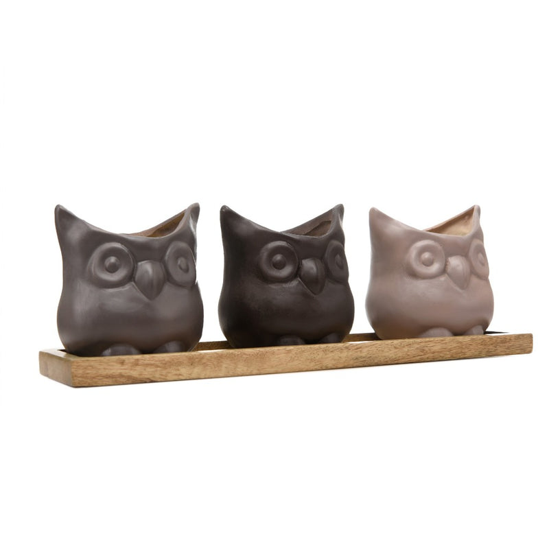 Set of Three Resin Owl Pots with Wooden Base