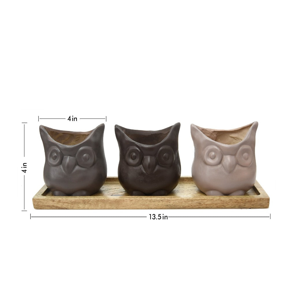 Set of Three Resin Owl Pots with Wooden Base - myBageecha
