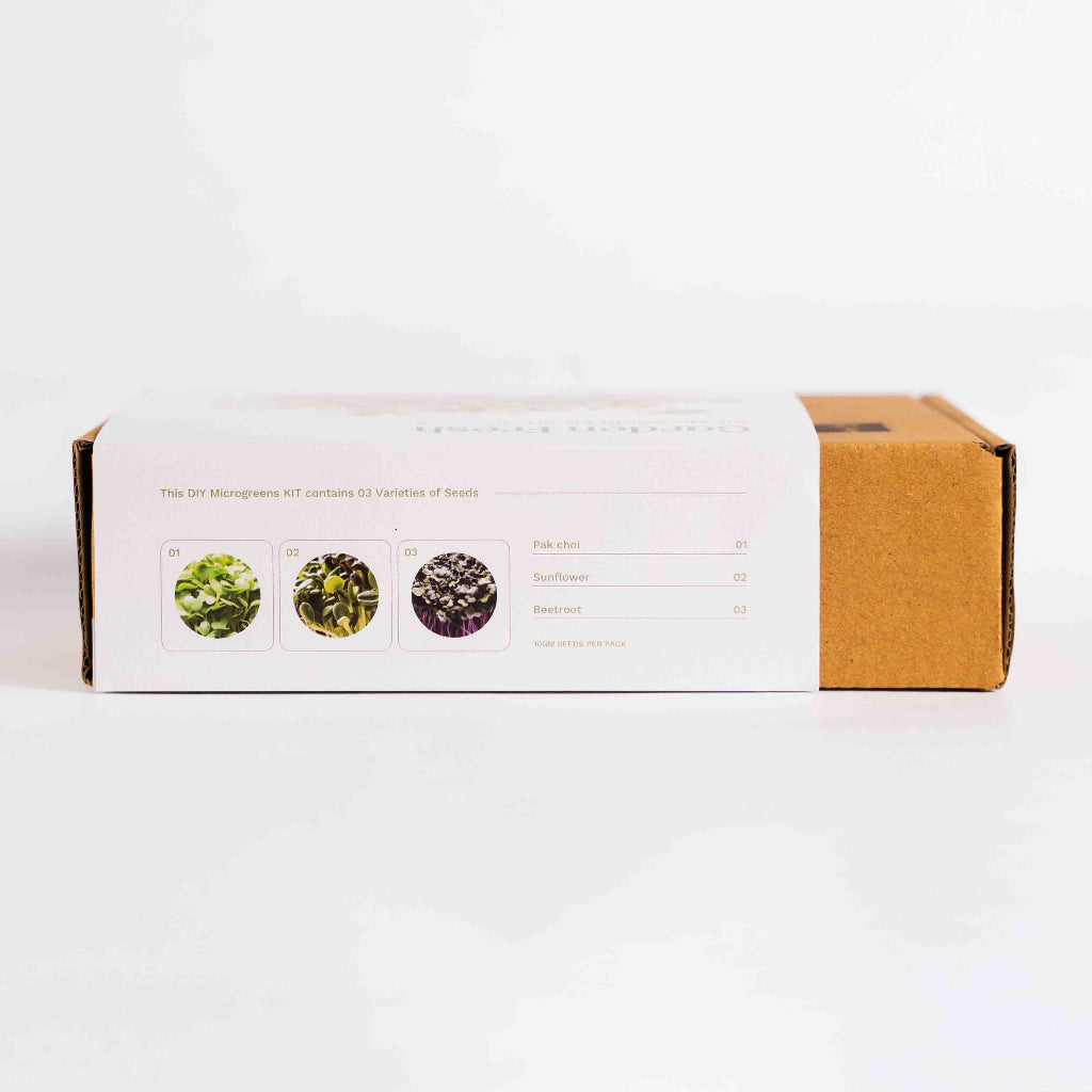 DIY Microgreen Kit-The Nutri-Green Boost Collection-myBageecha