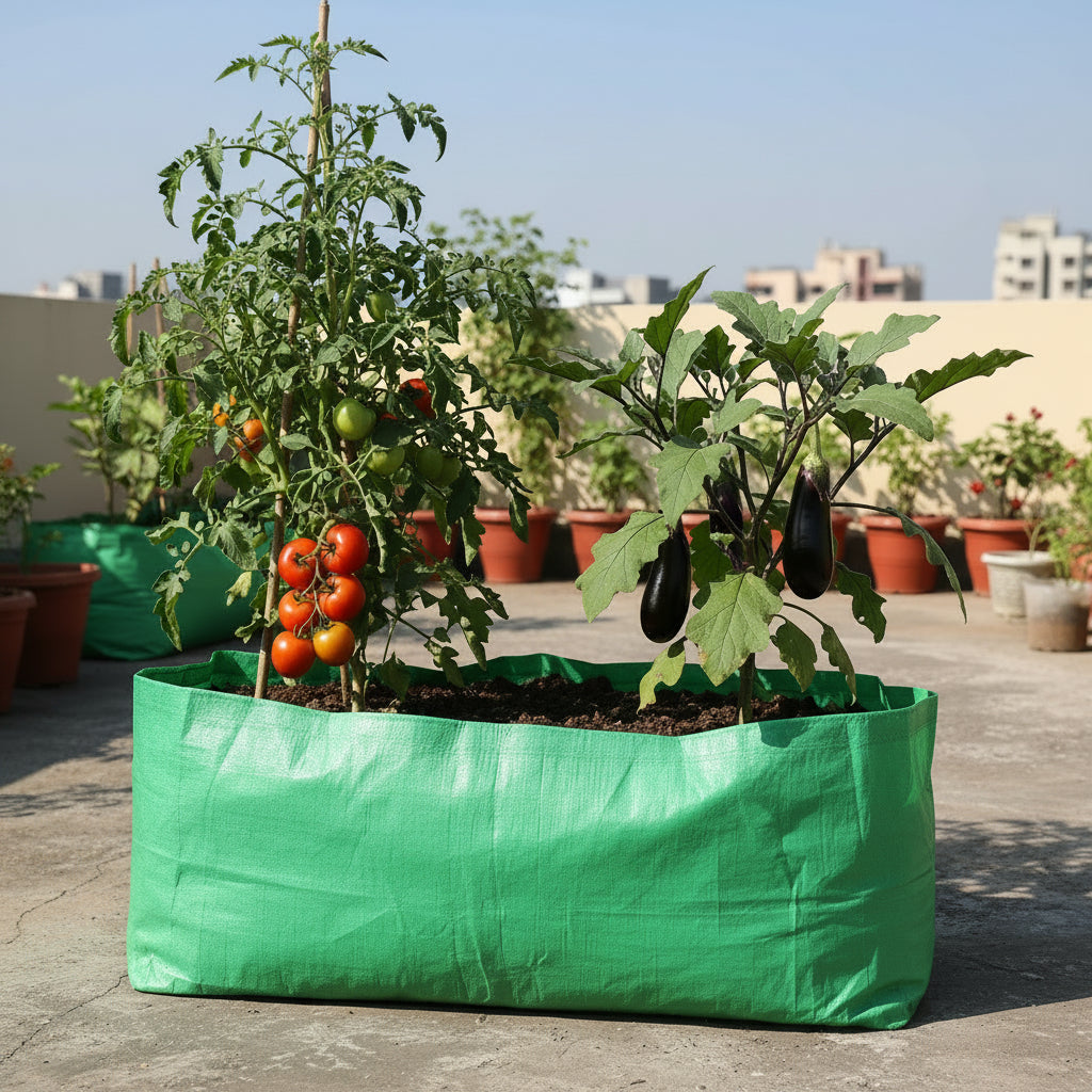 HDPE UV Grow Bags 24 x 12 x 12 Inch  shown with Tomato and Brinjal growing