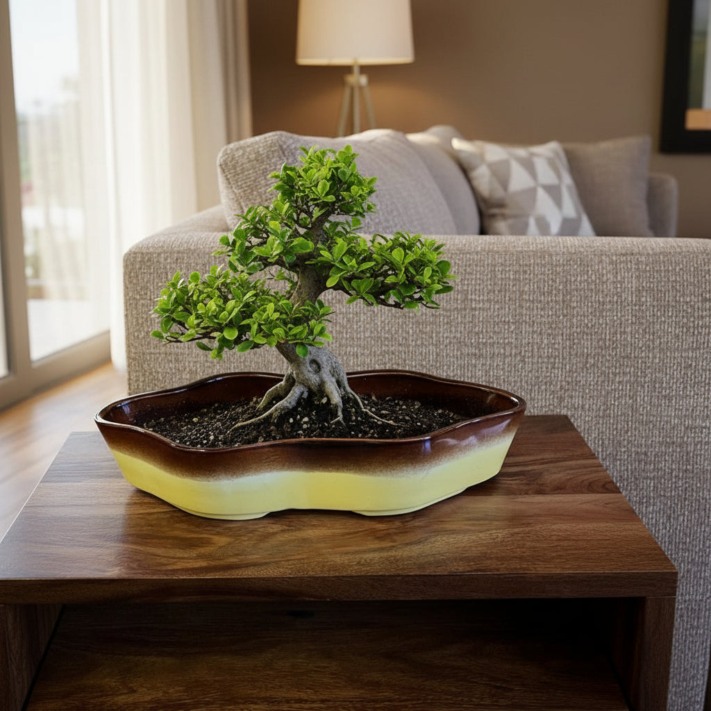Octa-Edge Artisan Ceramic Bonsai Tray-myBageecha