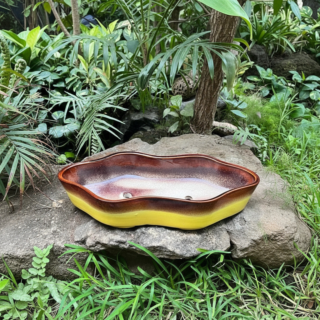 Octa-Edge Artisan Ceramic Bonsai Tray kept on rock