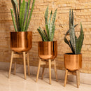 Set of Three Metal Pots with Wooden Stands