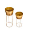 Set of Two Golden Metal Planters