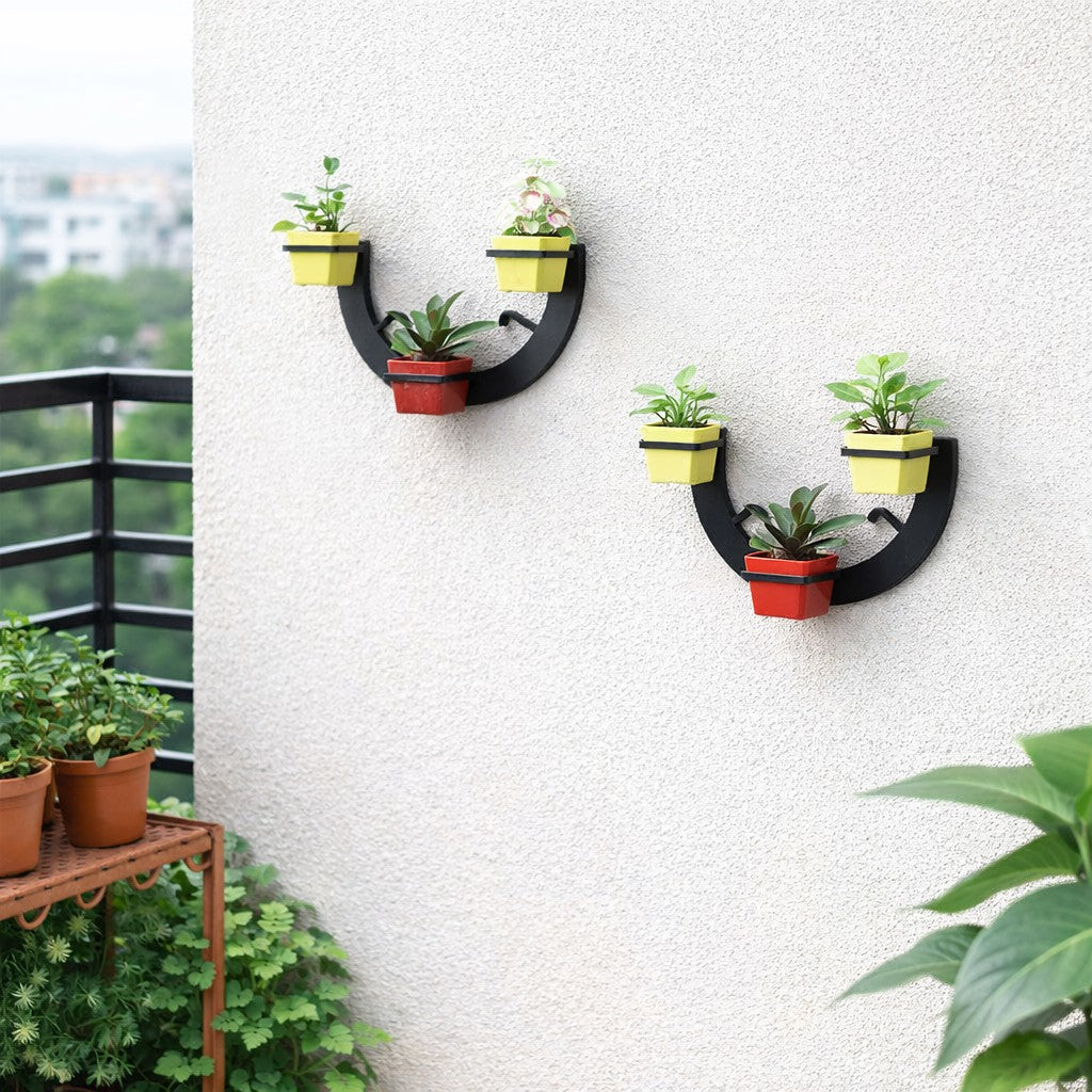 Pair of Metal Cresecent Moon Wall Planter on Balcony wall. 