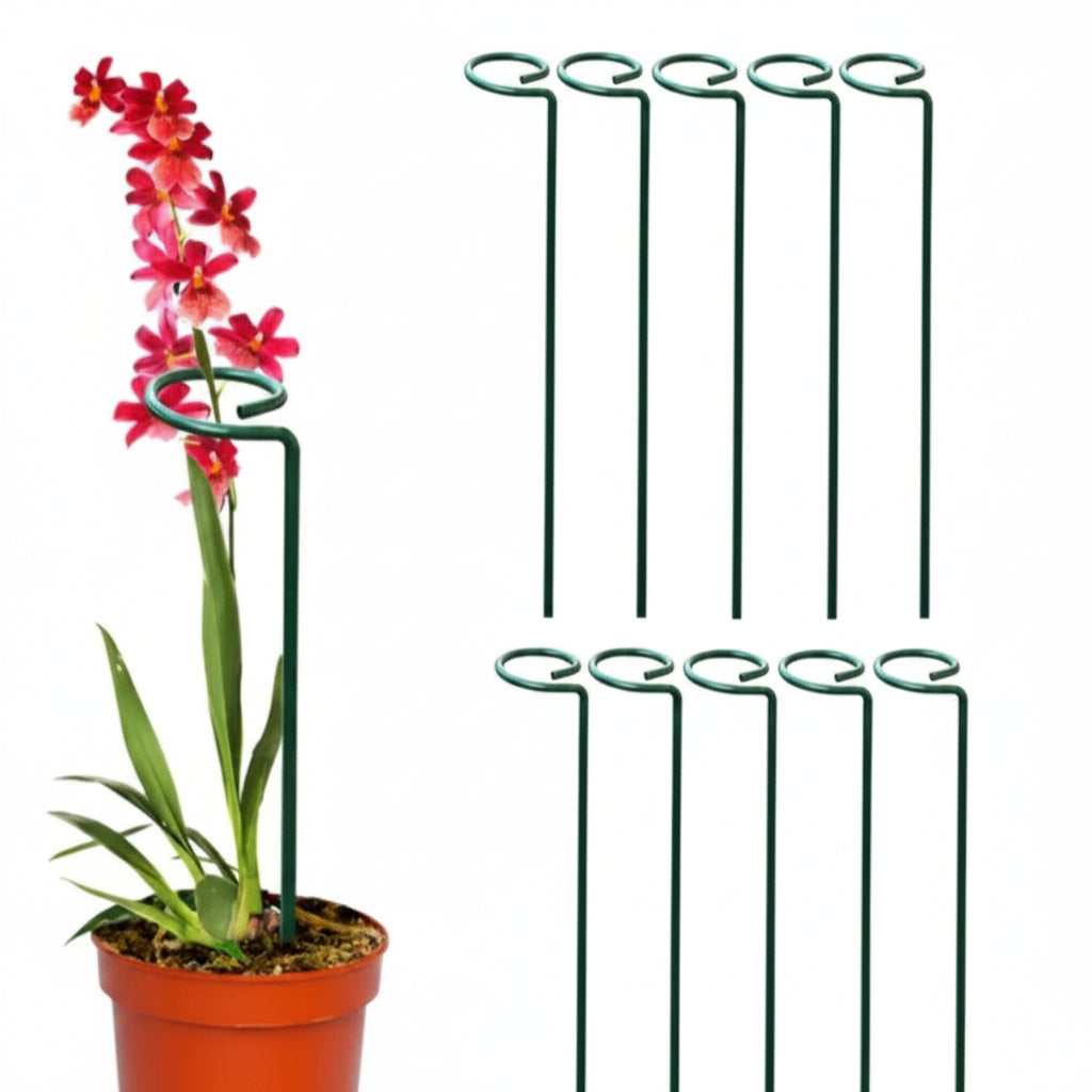 PVC Coated Plant Metal Support for vines – myBageecha
