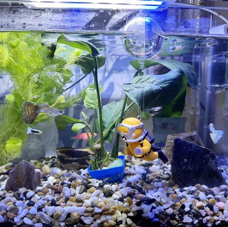 River Beige -Unpolished Pebble Decor - myBageecha