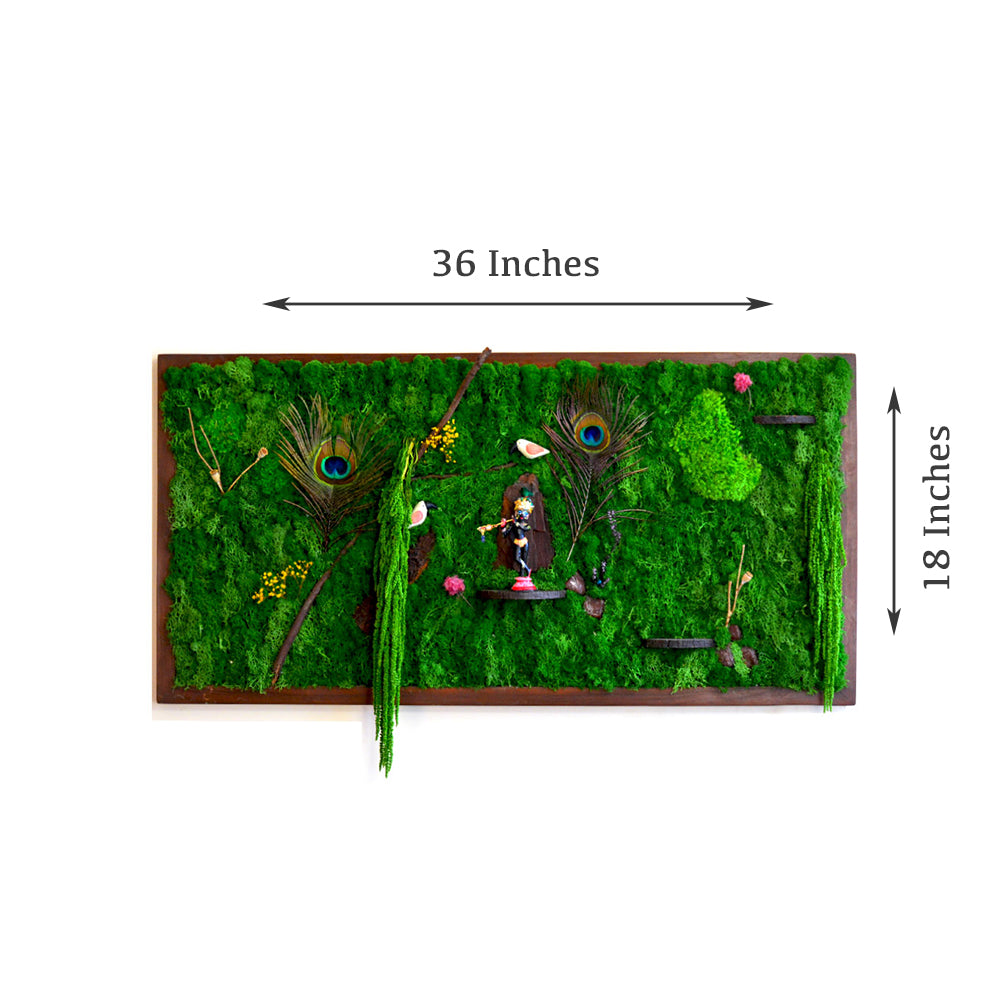 Tales of Govardhan Parvat Preserved Moss Frame with Dark Wood