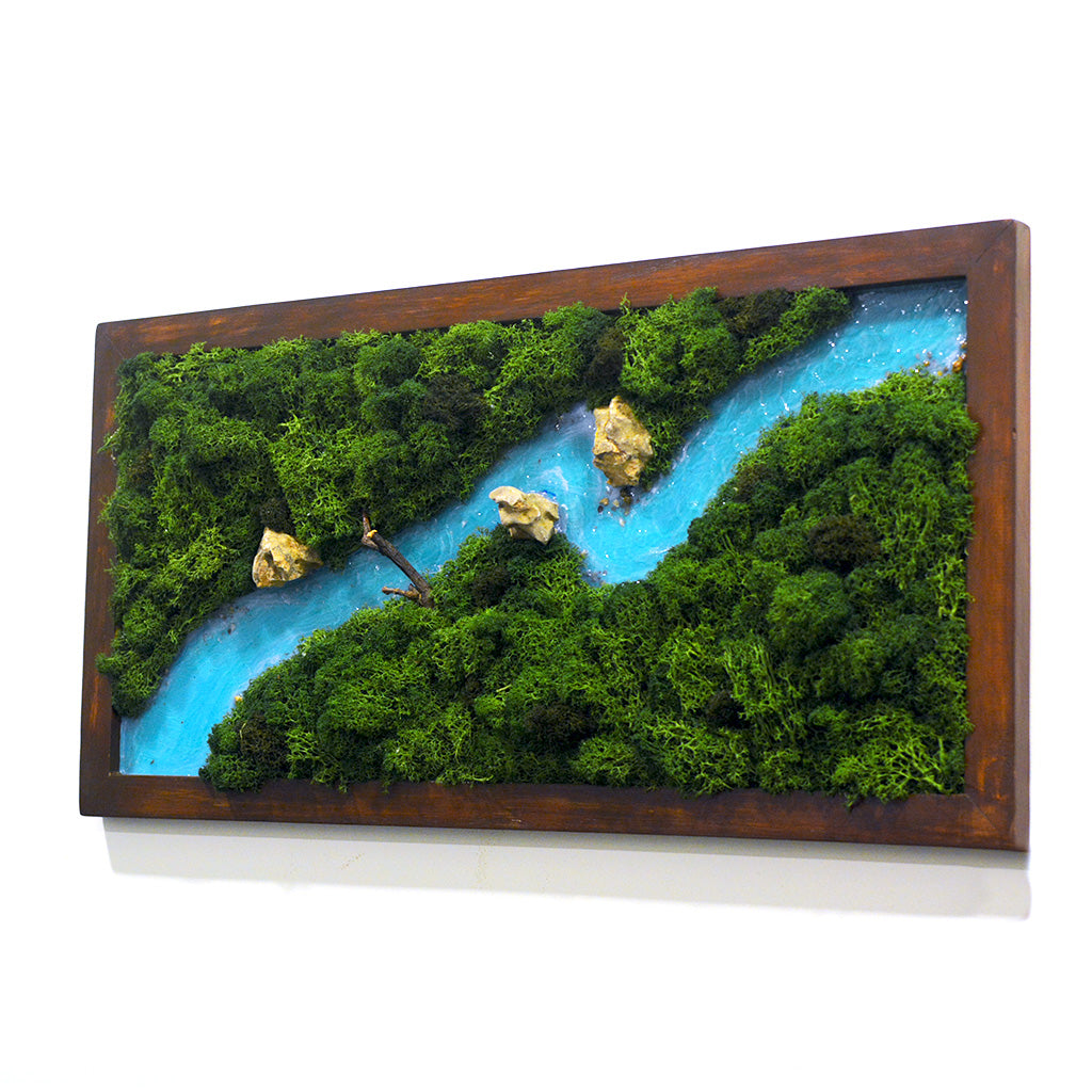 Traverse The Wild Preserved Moss Frame with Dark Wood