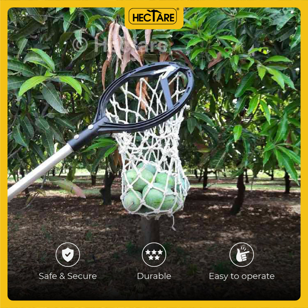 Buy Hectare Universal Fruit Picker for Mango, Sapota and Avacado