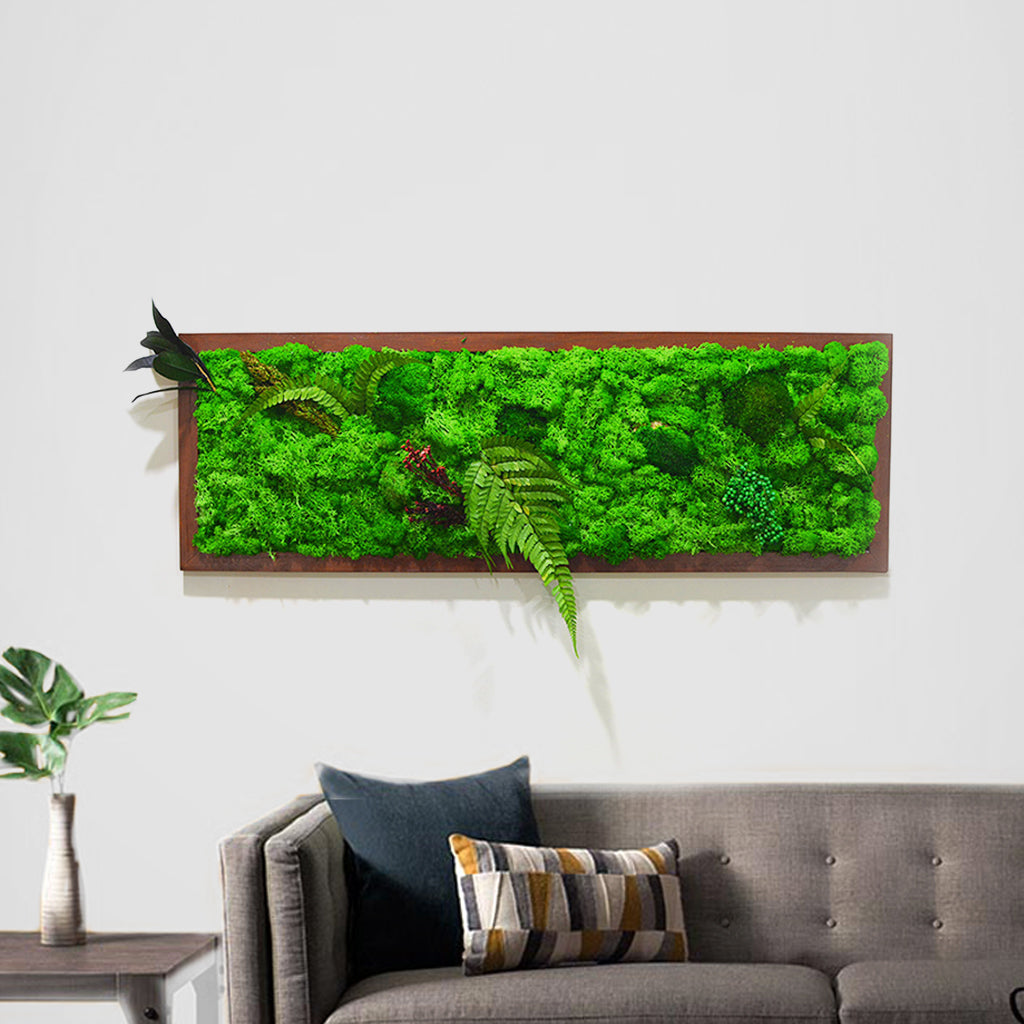 A Mystical Forest Preserved Moss Frame with Dark Wood