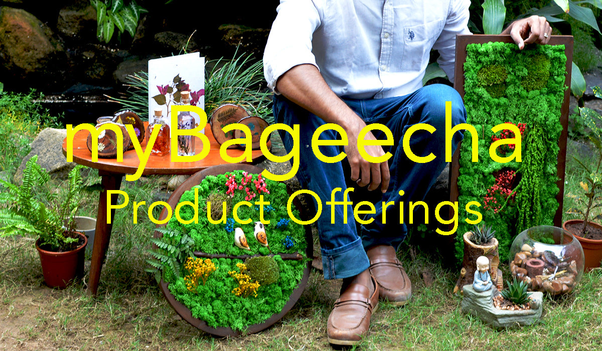 mybageecha brand thumbnail product offering