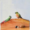Exotic Firetailed Myzornis Wooden Base Table Tops