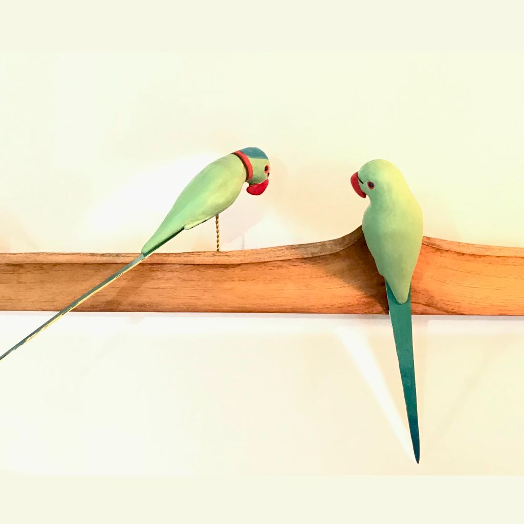 Exotic Birds - Indian Parakeet - myBageecha