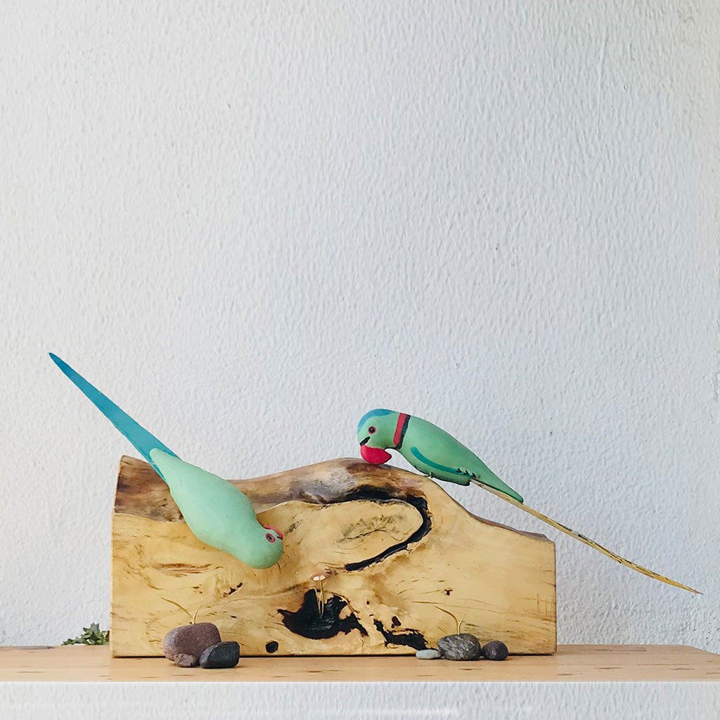 Exotic Indian Parakeet Wooden Base Table Tops - myBageecha